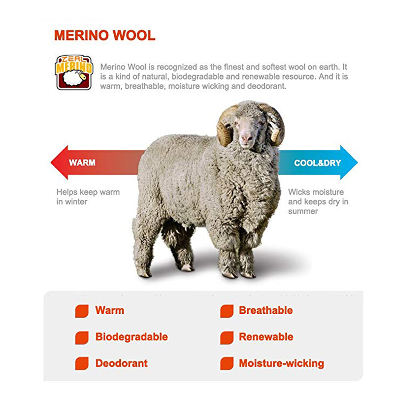 جوارب رياضية من صوف المارينو س - مراجعة Thermal Sock Wool وسعره