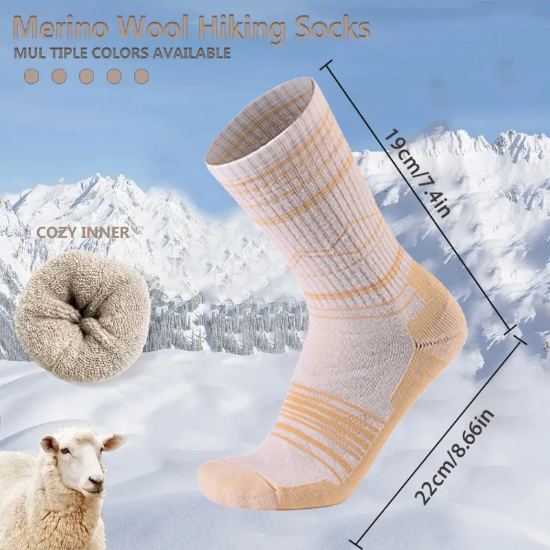 جوارب بوت من صوف الميرينو، داف - مراجعة Thermal Sock Wool وسعره