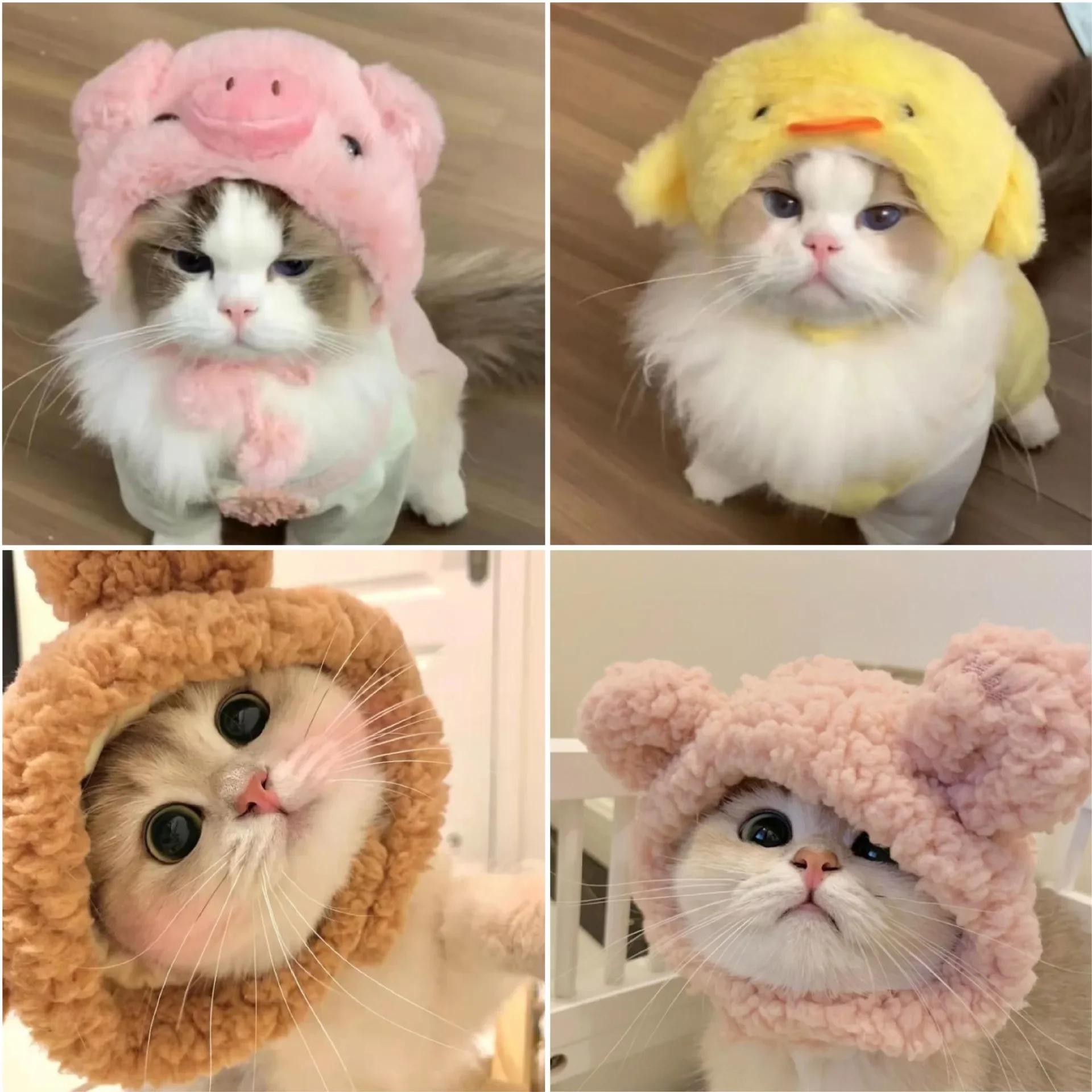 قبعة للحيوانات الأليفة مضحكة و - مراجعة Winter Headband Fleece وسعره
