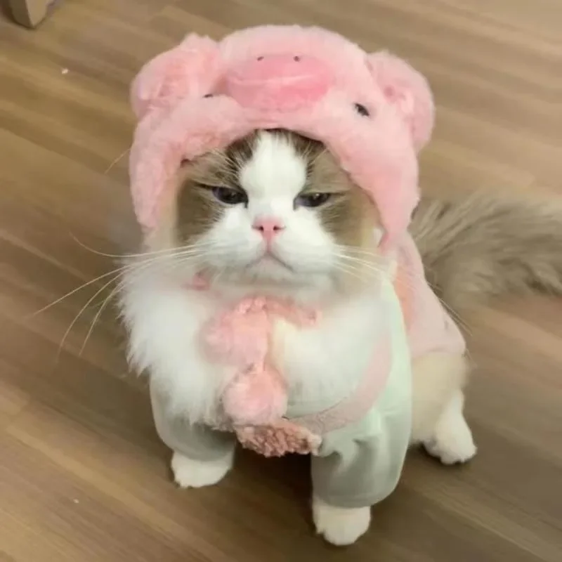قبعة للحيوانات الأليفة مضحكة و - مراجعة Winter Headband Fleece وسعره